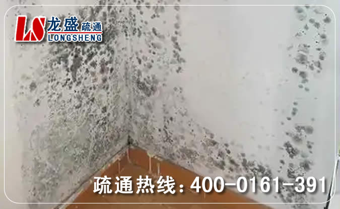 虎门镇除菌除霉味